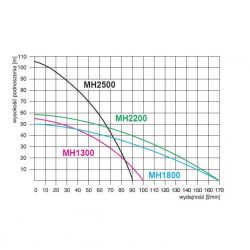 MH 2500INOX/230V pompa z osprzętem