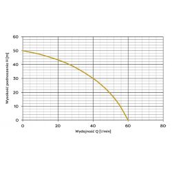 JY 1000 230V zestaw hydroforowy na zbiorniku 100L poziom AQUASYSTEM